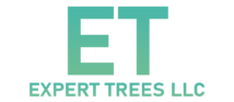 EXPERT TREES LLC Knoxville, TN (865) 232-9589