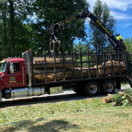 WhatsApp Image 2026-02-09 at 11.14.30 AM (2)