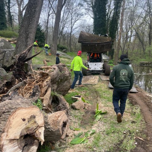 WhatsApp Image 2026-02-09 at 11.14.30 AM (6)