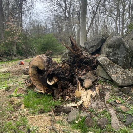 WhatsApp Image 2026-02-09 at 11.14.30 AM (7)