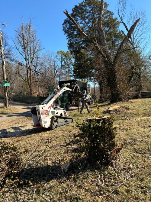 WhatsApp Image 2026-02-10 at 7.23.16 AM