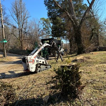 WhatsApp Image 2026-02-10 at 7.23.16 AM